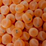 Chinook Salmon eggs with eyes in them
