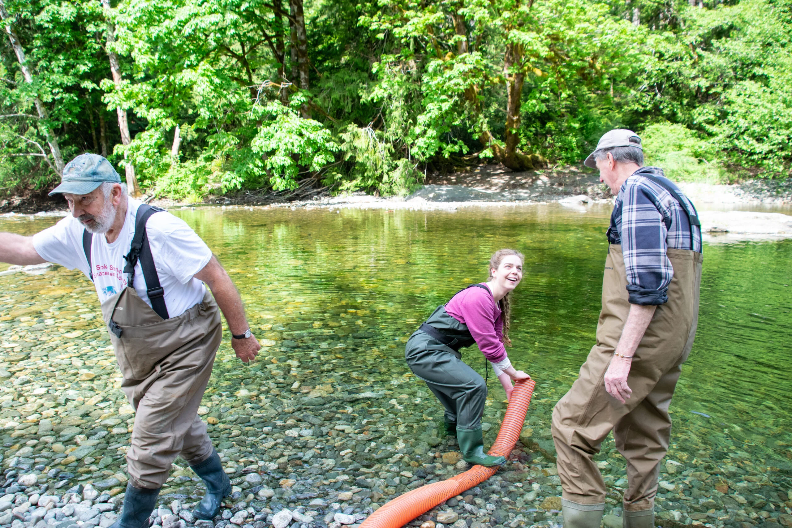 Sooke Salmon Enhancement Society volunteers at Sooke Potholes preparing to release Sooke River Jack Brooks Hatchery salmon fry