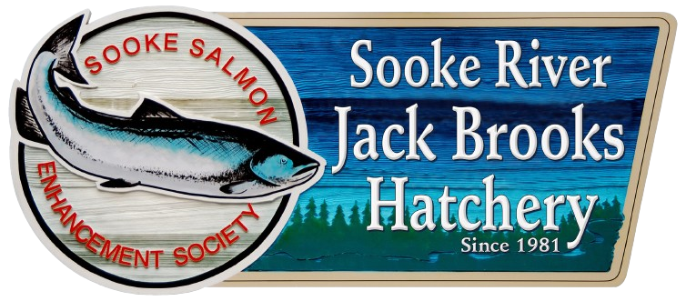 Sooke River Jack Brooks Hatchery